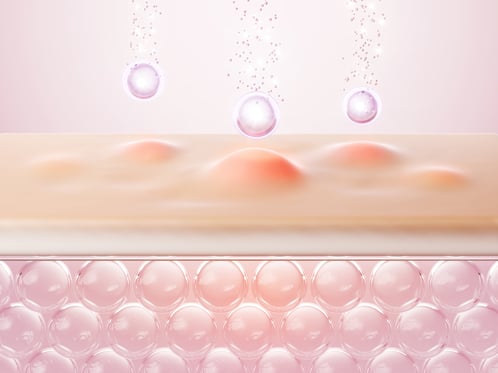 shutterstock_2367914975